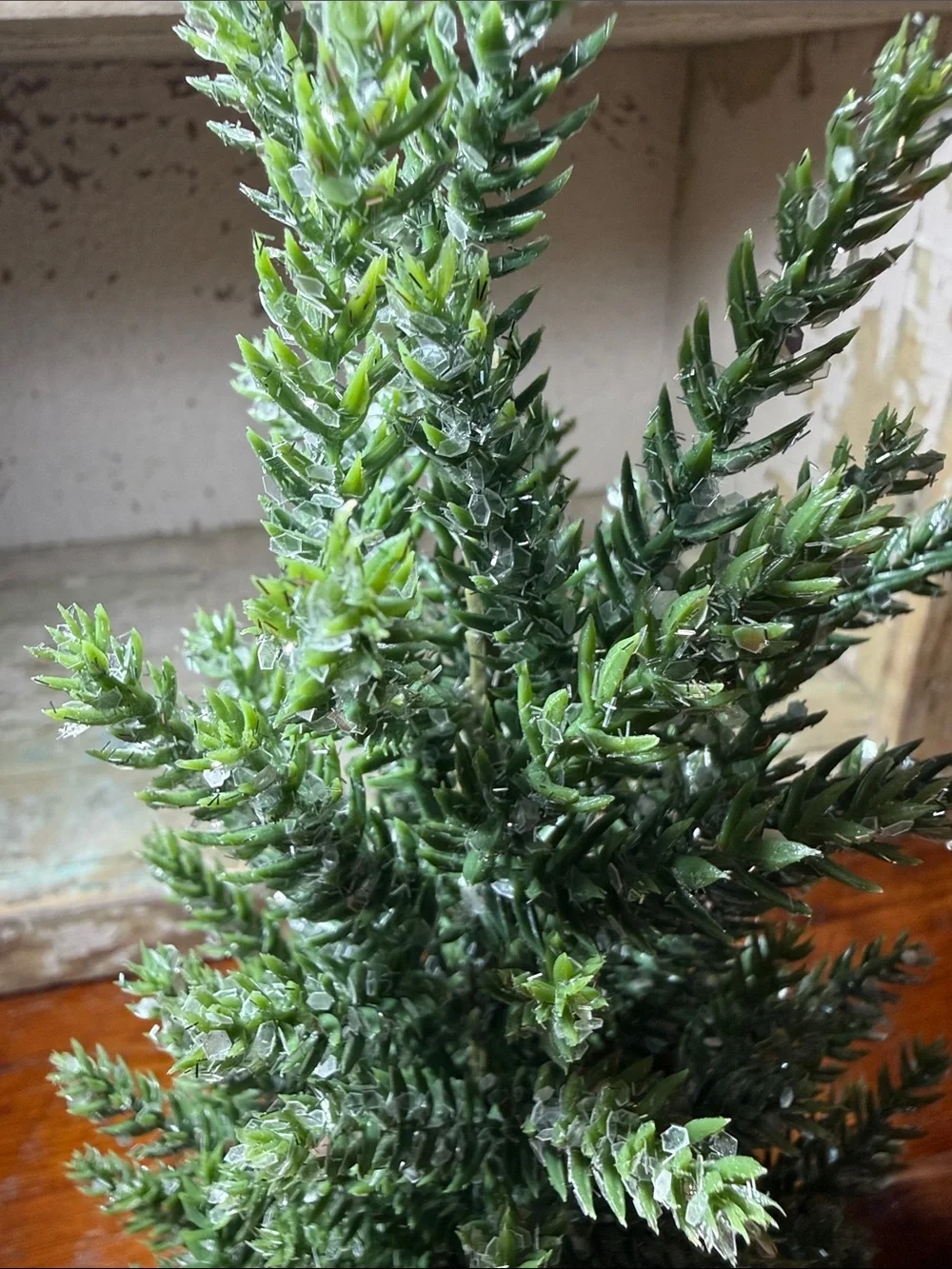 N/A small green